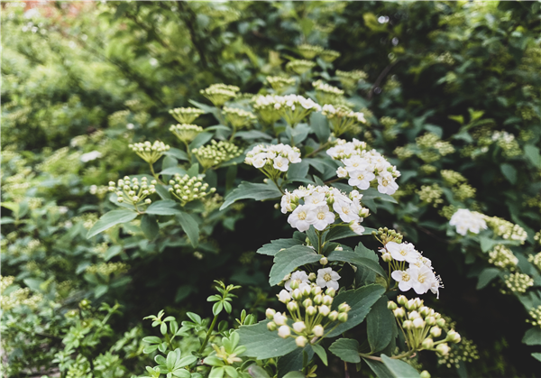 1585902726320304.png 图片4_副本.png