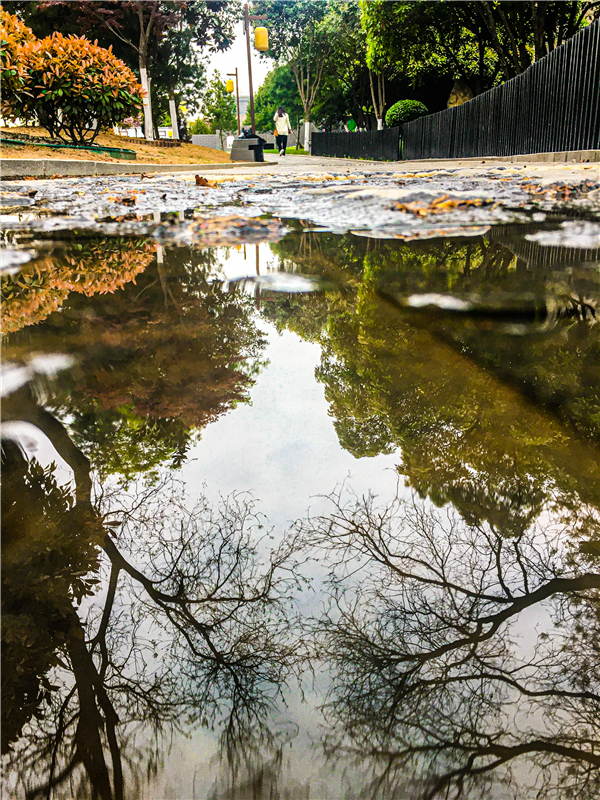 1585902797439706.png 图片7_副本.png