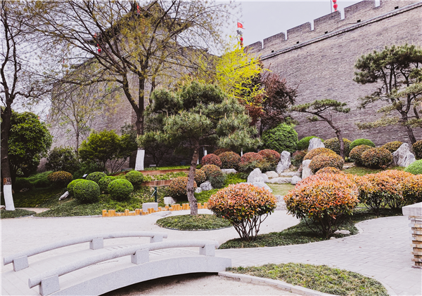 1585902819703928.png 图片8_副本.png