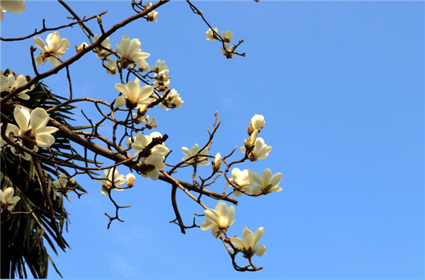 1586310119420883.png 02_副本.png