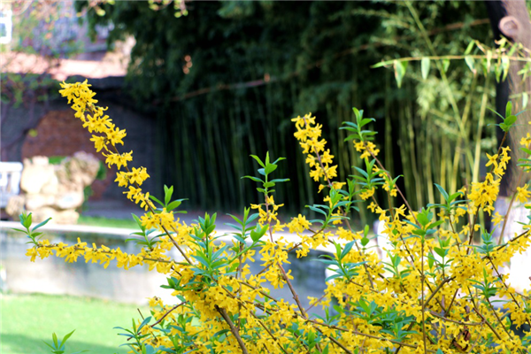 1586310196885558.png 06_副本.png