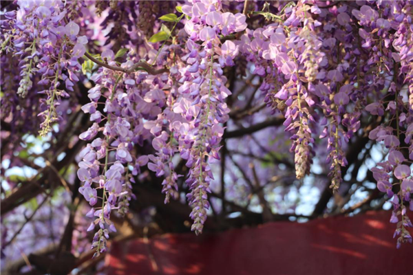 1586310220647493.png 07_副本.png