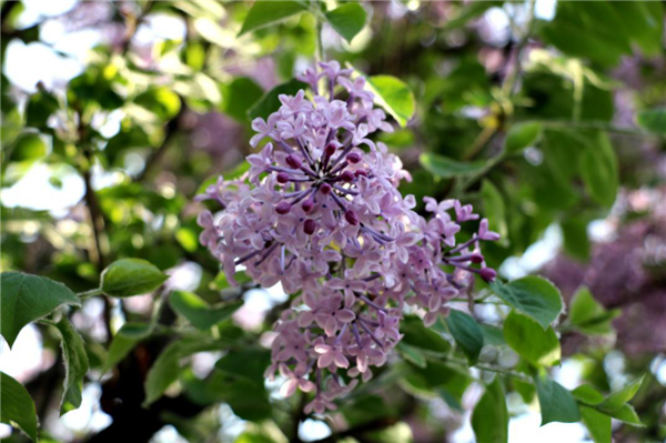 1586310233482582.png 08_副本.png