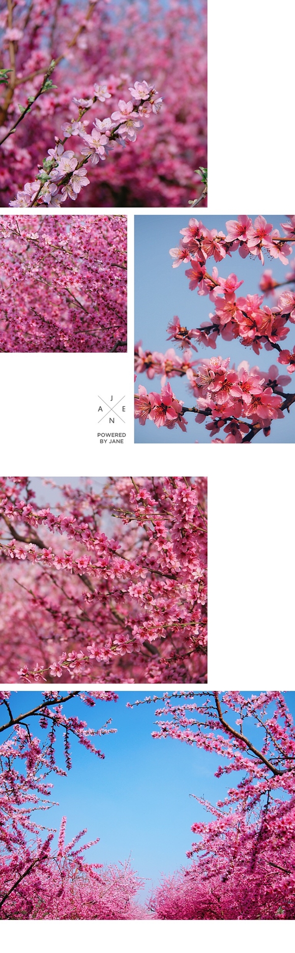 1586312696239412.jpg 微信图片_20200408102132_副本.jpg