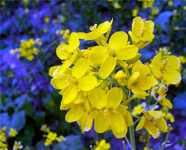 1586768265516750.jpg 微信图片_20200413094344_副本.jpg