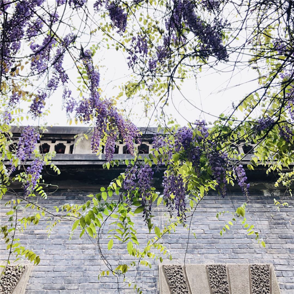 1587003628510295.png 图片1_副本.png