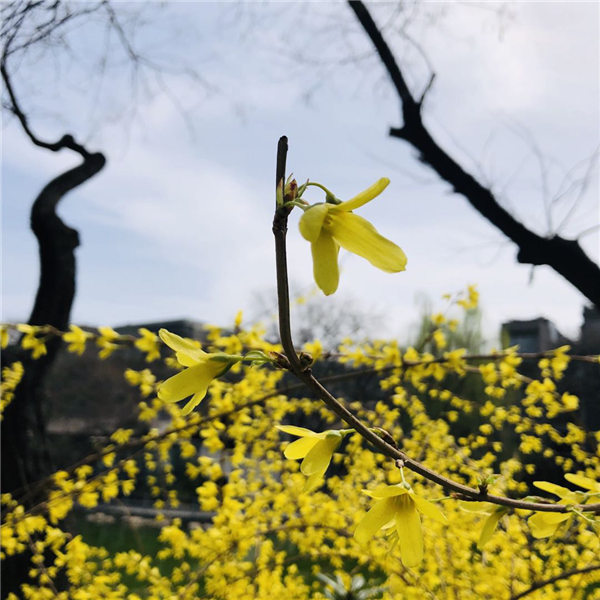 1587003659521437.png 图片2_副本.png