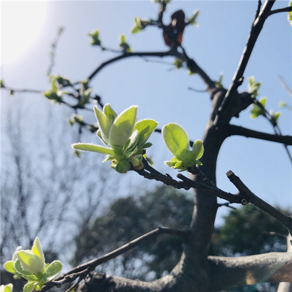 1587003825528289.png 图片6_副本.png