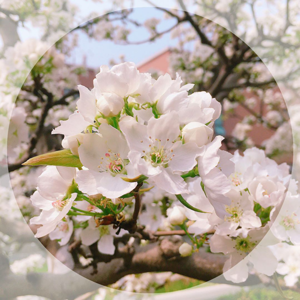 1587470227461263.png 图片1_副本.png