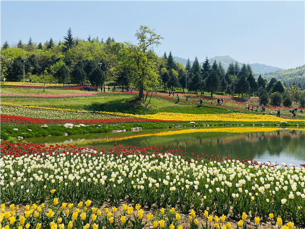 1587471138844993.jpg 1_副本.jpg