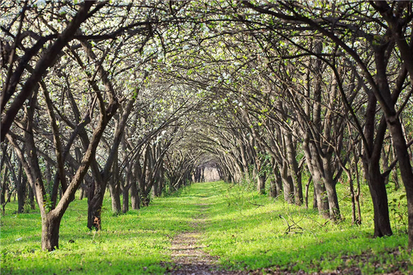 1587471452807825.jpg 7_副本.jpg