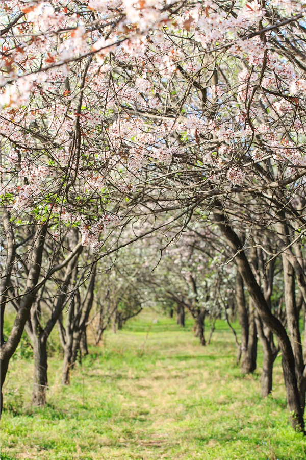 1587471461357292.jpg 7 (2)_副本.jpg