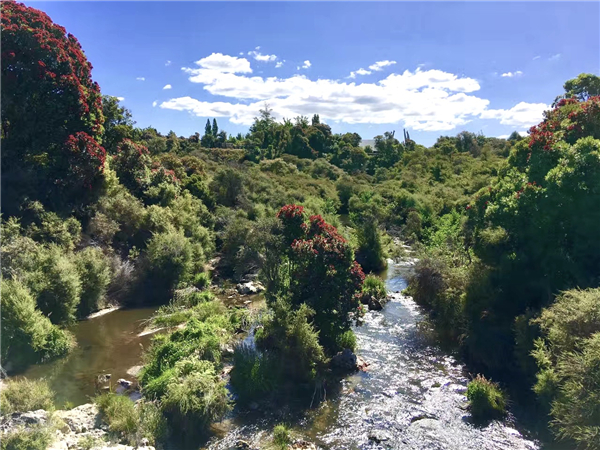 1587471517603583.jpg 9_副本.jpg