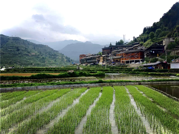 1587471553198715.jpg 10 (2)_副本.jpg