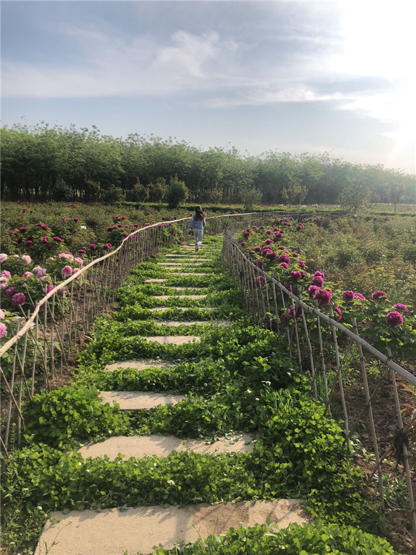 1587472173959538.png 图片5_副本.png