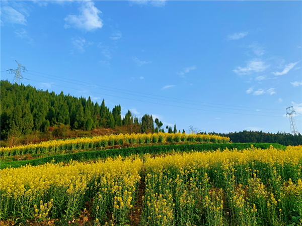 1587480332810562.png 图片 1_副本.png