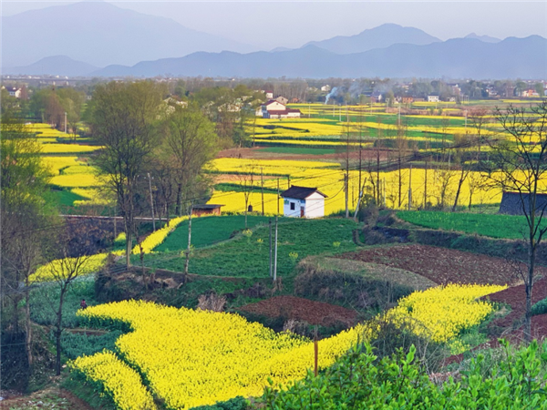 1587480356697165.png 图片 2_副本.png