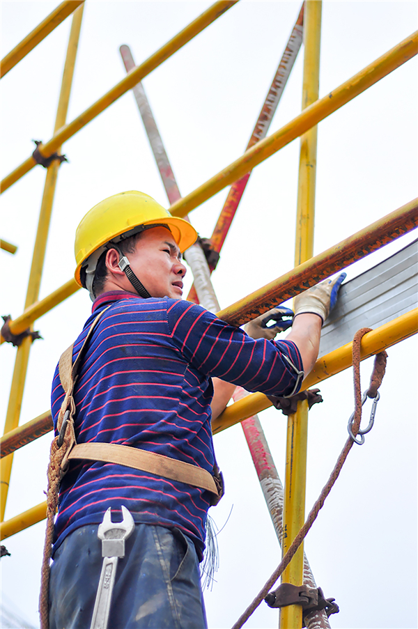 1596162556401267.jpg 遥望.jpg