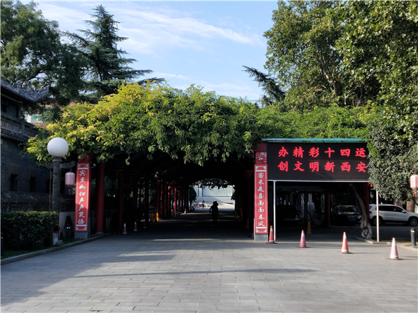 1600240979763785.png 图片6_副本.png