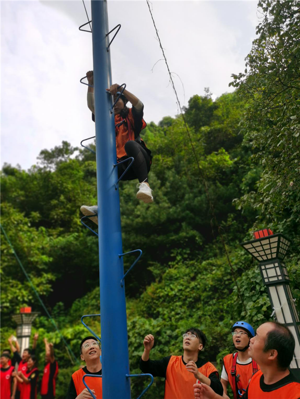 1600334211307726.png 图片36_副本.png