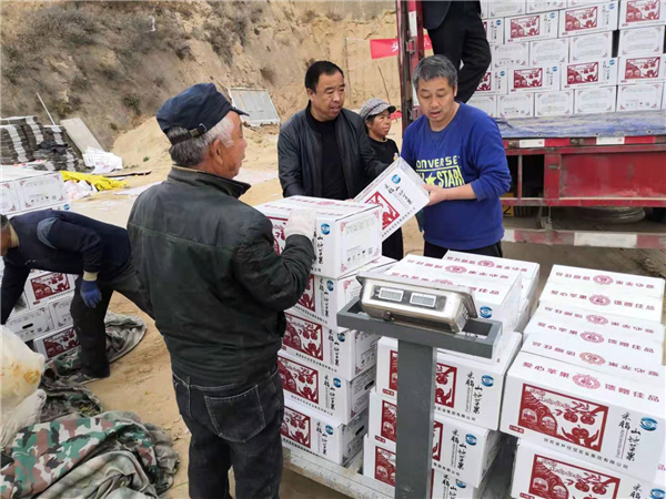 1612927315975310.jpg 2_副本.jpg