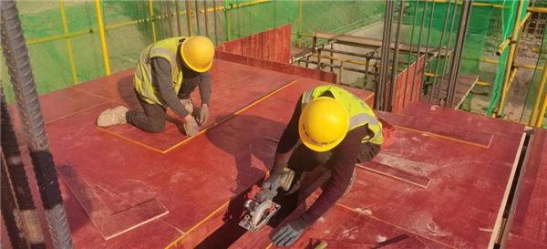 1641289105839333.jpg 微信图片_20220103224224_副本.jpg