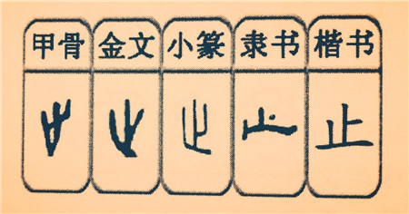 1677720890407932.jpg 图片2.jpg