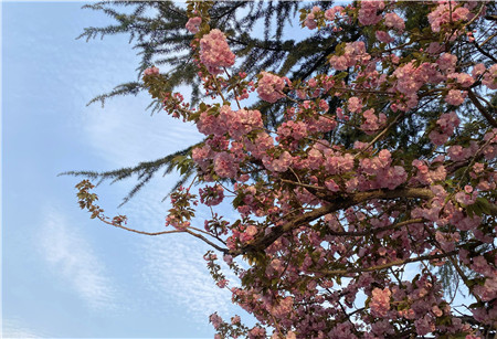 1680251655924569.jpg 图片1_副本.jpg