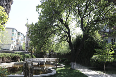 1680251671949379.jpg 图片3_副本.jpg