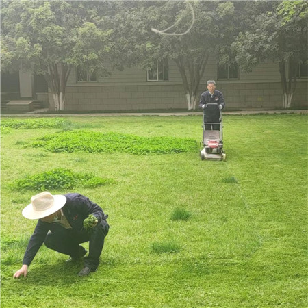 1681727660828819.jpg 图片2_副本.jpg