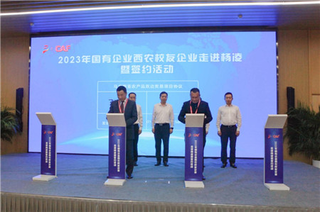 1695367344704419.jpg 图片1.jpg